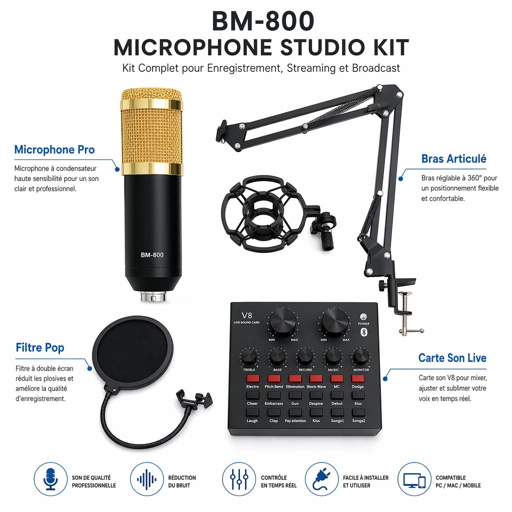 kit de microphone à condensateur professionnel